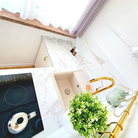 Dominikanski * Racibórz