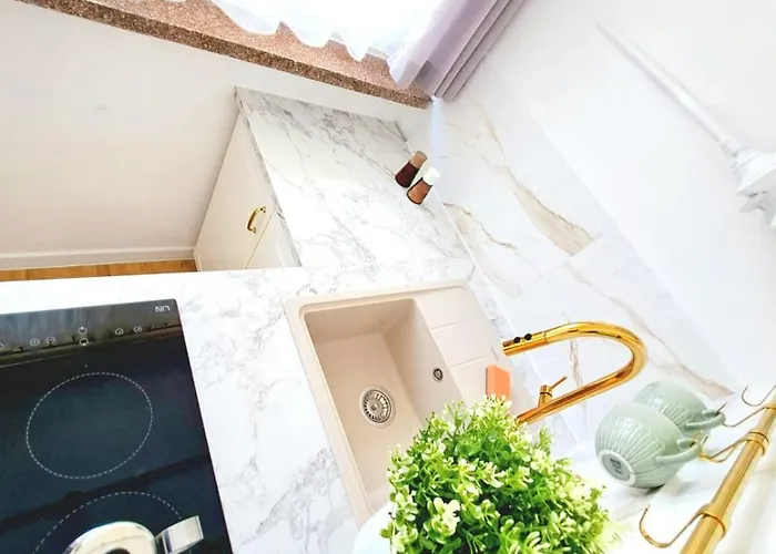 Dominikanski * ראסיבורז'